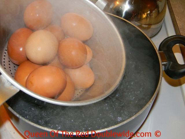 The Best Way to Properly Store Freshly Laid Eggs