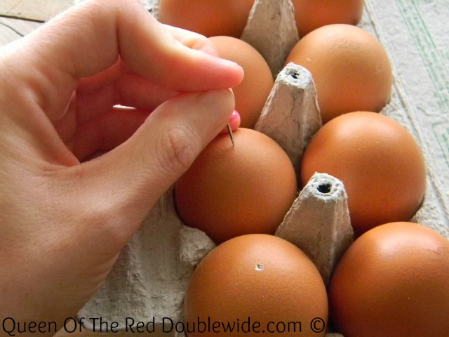 Boil fresh duck eggs that peel easily every time!