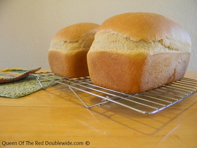 White Sandwich Bread