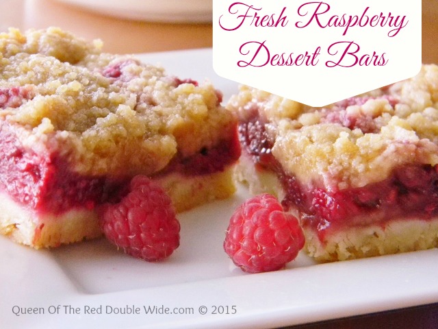 fresh raspberry dessert bars