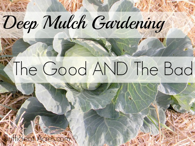 mulch garden