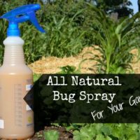 Homemade All Natural Insect Spray For Your Garden